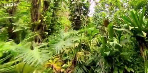 Andys Aquatic Adventures S01 E09