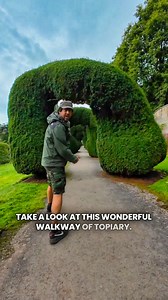 9.4K views · 169 reactions | Topiary is the horticultural practice of training perennial plants by clipping the foliage and twigs of trees, shrubs and subshrubs to develop and maintain clearly defined shapes, whether geometric or fanciful. | Get Wild | Facebook