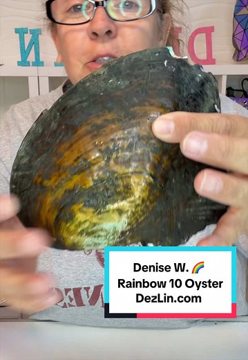 Rainbow 10 Monster Oyster — DezLin Rainbow Oyster Order