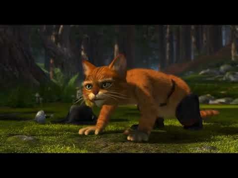 Une histoire de vomit où d'alcoolémie ? Toi aussi tu te lèches les poils ? - Shrek II