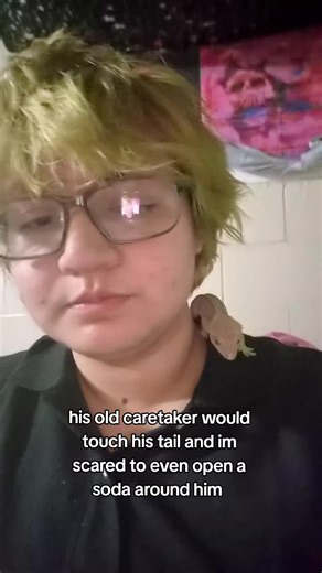 Crested Gecko Tail Concerns: A Caretaker's Worries