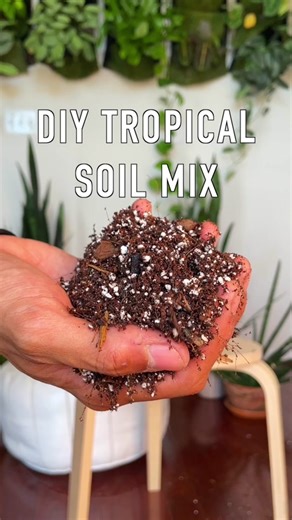 Tropical Houseplant Soil Mixture for Healthy Growth 🌿