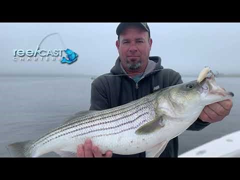 Fishing the Rebel Jumpin Minnow for Stripers