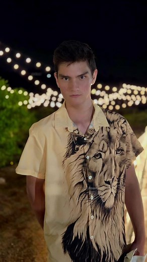 Exploring the Mystery of the Lionshirt Model