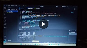 Top 3 Cuisines in Dataset: Python & Pandas Analysis | R P Nagashri Sajjan posted on the topic | LinkedIn
