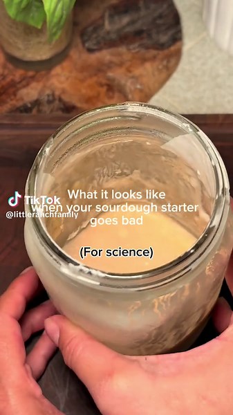 Identifying a Bad Sourdough Starter: Key Signs to Watch