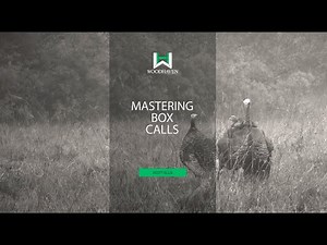 Mastering Box Calls