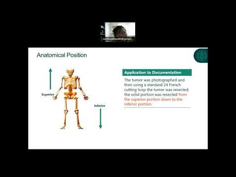 Chapter 2 Medical Terminology and Anatomy