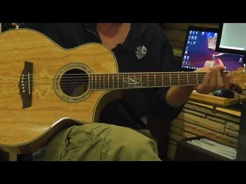 Ibanez EW20ASE Acoustic Electric Guitar