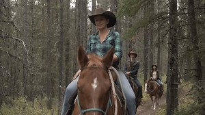 Female Guide Leading Group On Horseback Stock Footage Video (100% Royalty-free) 3514012017 | Shutterstock