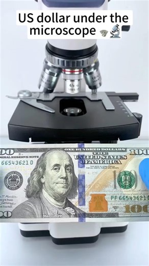 I put a $1 Bill under a Microscope... and I’m SHOCKED! 🤯 #microscope #usa