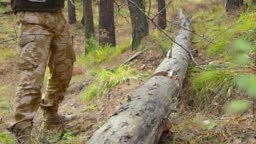 Hitting tree trunk with axe. Close up view