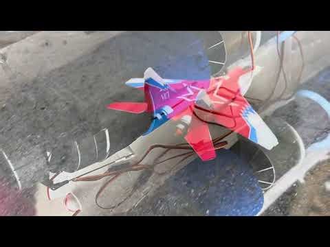 Freewing Mig-29 with new thrust vectors