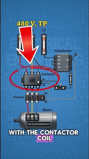 Here is how Contactor and Overload Contact operate in 3 phase motor control circuit #motor #circuit