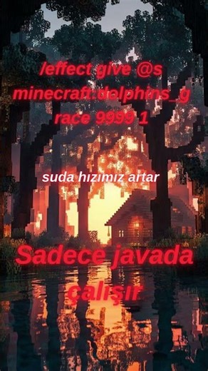 en az bilinen komutlar bölüm 16 #oyunumadokunma #minecraft