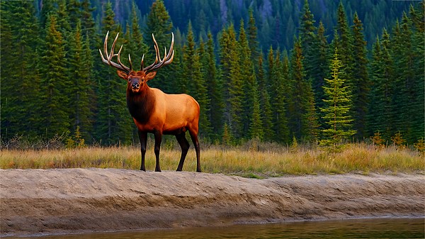Alaska in 4K - Incredible Scenes & Hidden Gems