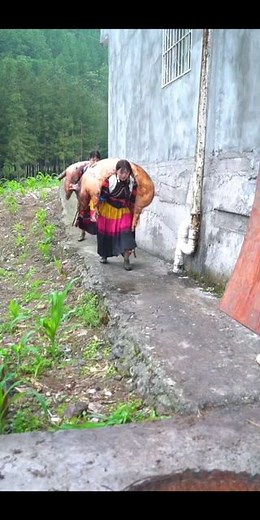 China Insider on Instagram: "When girls in Shanghai are having a moment in Starbucks, some Yi minority girls in Guizhou already shoulder the responsibility for their family  @chinainsider"