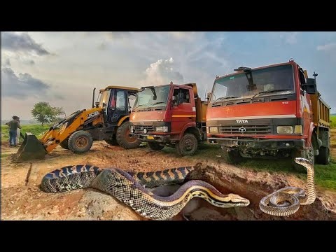 New Dumper Loading mud| New jcb working video| Loading mud | Dumper Loading mud video| Jcb stunt mud