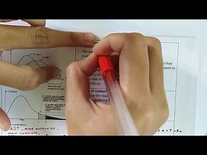 Chapter 1: REACTION KINETIC