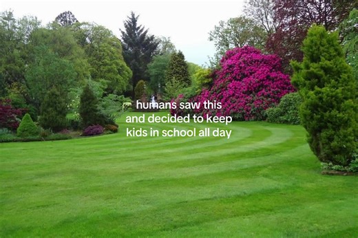 Embracing Nature's Beauty: The Importance of Scenic Views