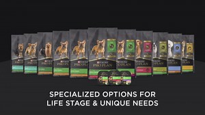 Purina Pro Plan High Protein Toy Breed Puppy Food DHA Chicken and Rice Formula