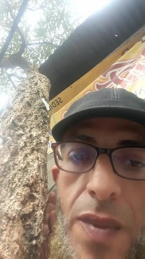 Explore the Unique Texture of Tree Bark