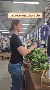941K views · 67K reactions | Buying plants is serious stuff!!  Let Sipkens Nurseries give you the best advice when buying for your home & gardens  1 plant❎️ 2 plants✅️ | Sipkens Nurseries | Facebook