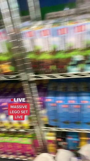 Live Cataloging 250 LEGO Sets for Children's Hospital | CHKD Charity