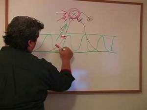 Tom Vizzini I Don't Believe You! How Anchoring Works