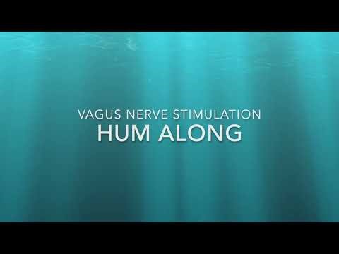 Bb Note to Hum with to Stimulate the Vagus Nerve