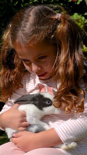 Turkish Meal Cocorech Recipe Cooked Specially By Chef Kanan