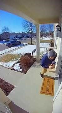 Goose Attack on Delivery!