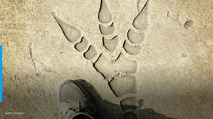 Construction job sabotages dinosaur footprints