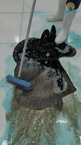 Fantastic relaxing cleaning of the dirty carpet satisfying #asmr | Magnus Rug Cleaning