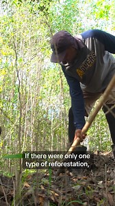 1.7K views · 28 reactions | Planting trees — the right kind, in the right place, in the right way — is far better for fighting climate change than previously thought, according to a first-of-its-kind study. And in many cases this potential remains untapped. LEARN MORE: https://www.conservation.org/blog/study-reforestation-cheaper-than-previously-thought | Conservation International | Facebook