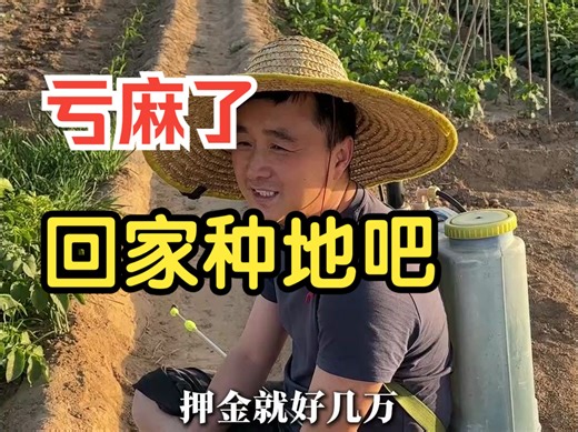 程序员创业，亏麻了