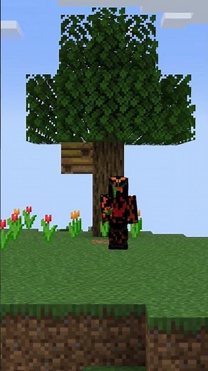 Advancement Guide - Bee Our Guest