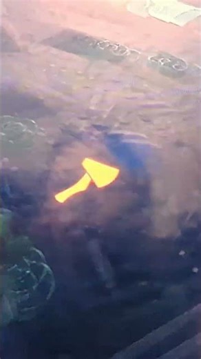 basketball in grounded