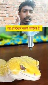 कितना डेंजर है यह😱😔👆#aa23 #shortviral #viralvideo #viral #trending #funny