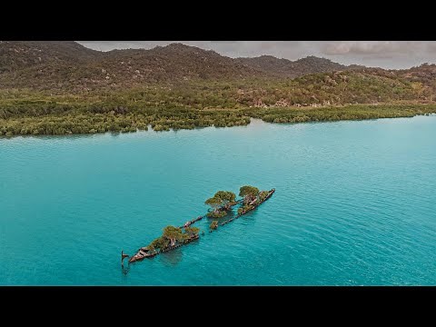 Aerial view of the 'City of Adelaide' shipwreck with trees growing on it, Magnetic Island Queensland