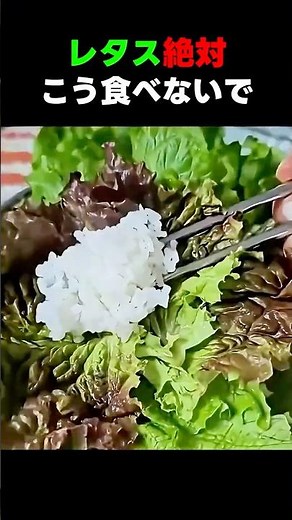 レタス絶対！この食べ方だと栄養が半分逃げます！これ一つで吸収率が全然違う 🥬