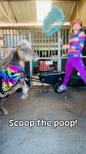 Scoop the Poop Song 💩🐴 #shorts #horse #farmlife #kidslearning #pony