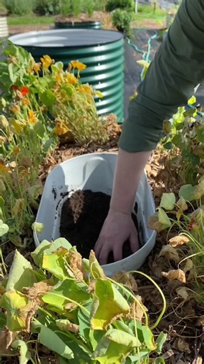 Repurpose Your Food Waste: Composting Tips and Hacks