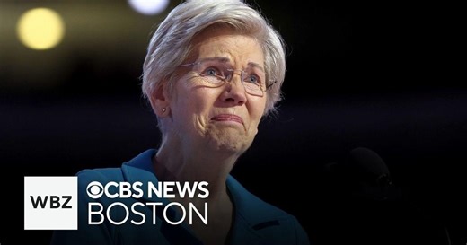 Sen. Elizabeth Warren on DNC ovation, reelection bid, and Kamala Harris