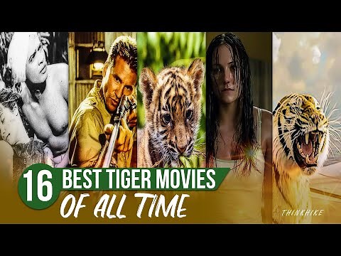 16 Best Tiger Movies of all time for Tiger Lovers | Tiger hunting movies | thinkhike