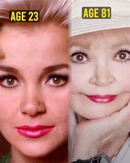 19K views · 347 reactions | Remember the show Petticoat Junction? Let's check back in on the actresses who played 'Billie Jo' 殺 | Do You Remember When | Facebook