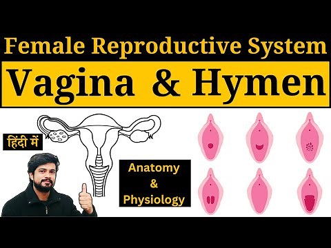 Female Reproductive System || Vagina Structure and Function || Hymen & Types || Anatomy & Physiology