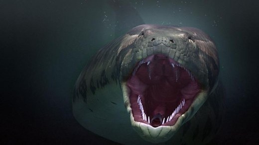 TitanoBoa, le plus Grand Serpent du Monde - HD ST (2011)