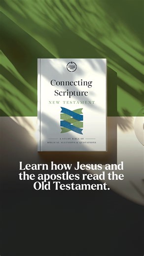 Deepen your understanding of the greatest story on earth with the CSB Connecting Scripture New Testament. New from leading biblical theology scholars Dr. Ben Gladd and Dr. G.K. Beale, this unique study Bible provides everything you need to better grasp Scripture’s overarching redemption story. | B&H Publishing Group