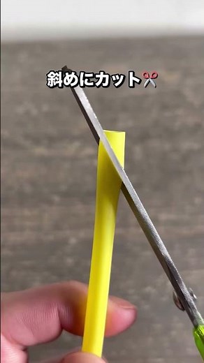 9割が知らない！排水口の髪の毛をごっそり取る裏ワザ 😳💦